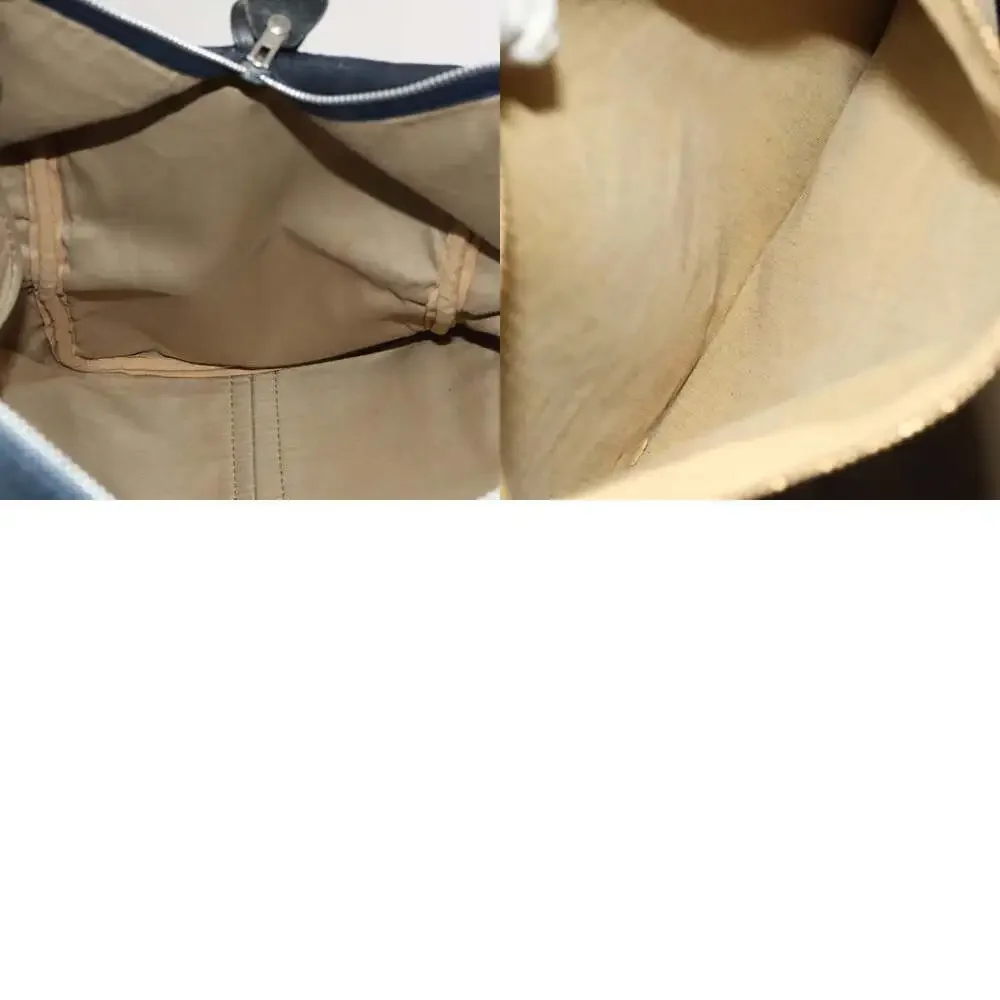 Dior trotter canvas